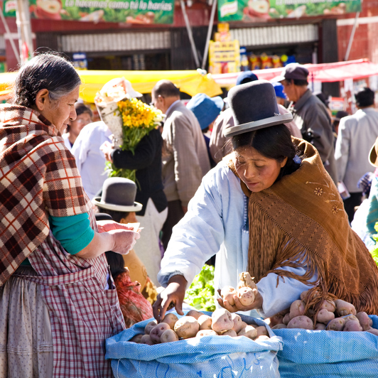 bolivia_la pez_befolkning_03