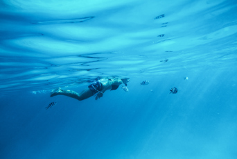 zanzibar_snorkel_coral_03