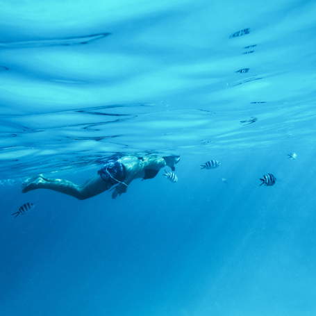 zanzibar_snorkel_coral_03