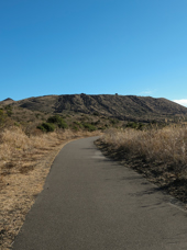 Izu Oshima Island Cykelsti GI 1365304247