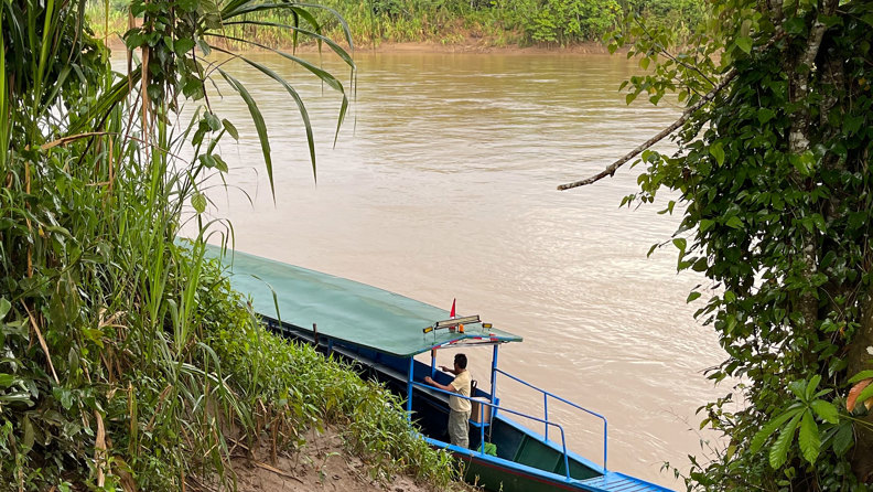 Flodbred I Tambopata