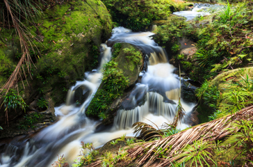 bako national park_07