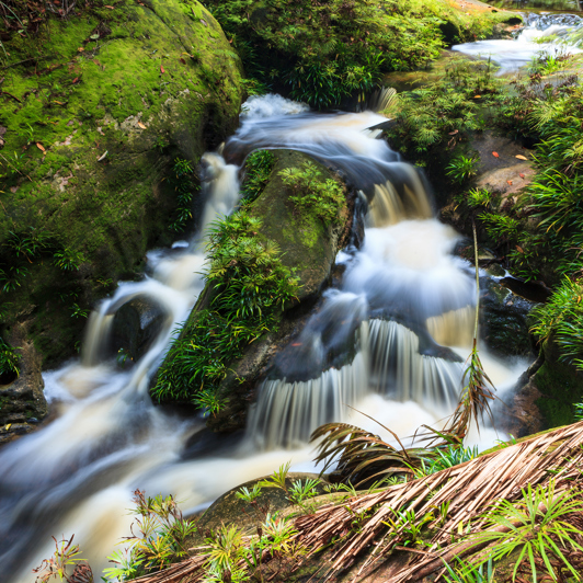 bako national park_07