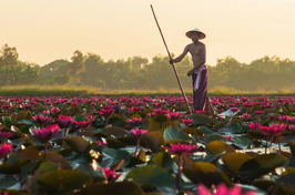 Cambodia Scenic