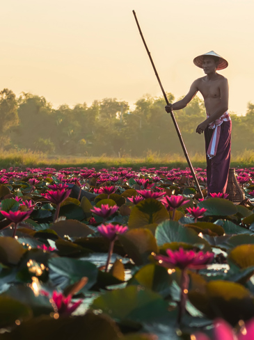 Cambodia Scenic