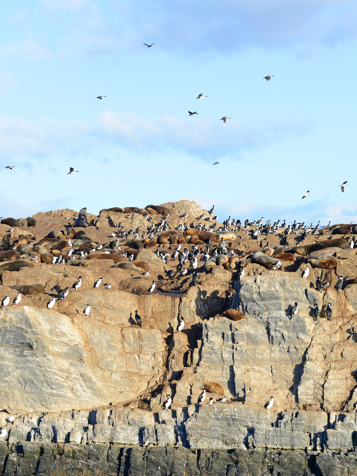 argentina - beagle channel_05