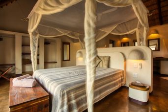 Cheetah Camp
