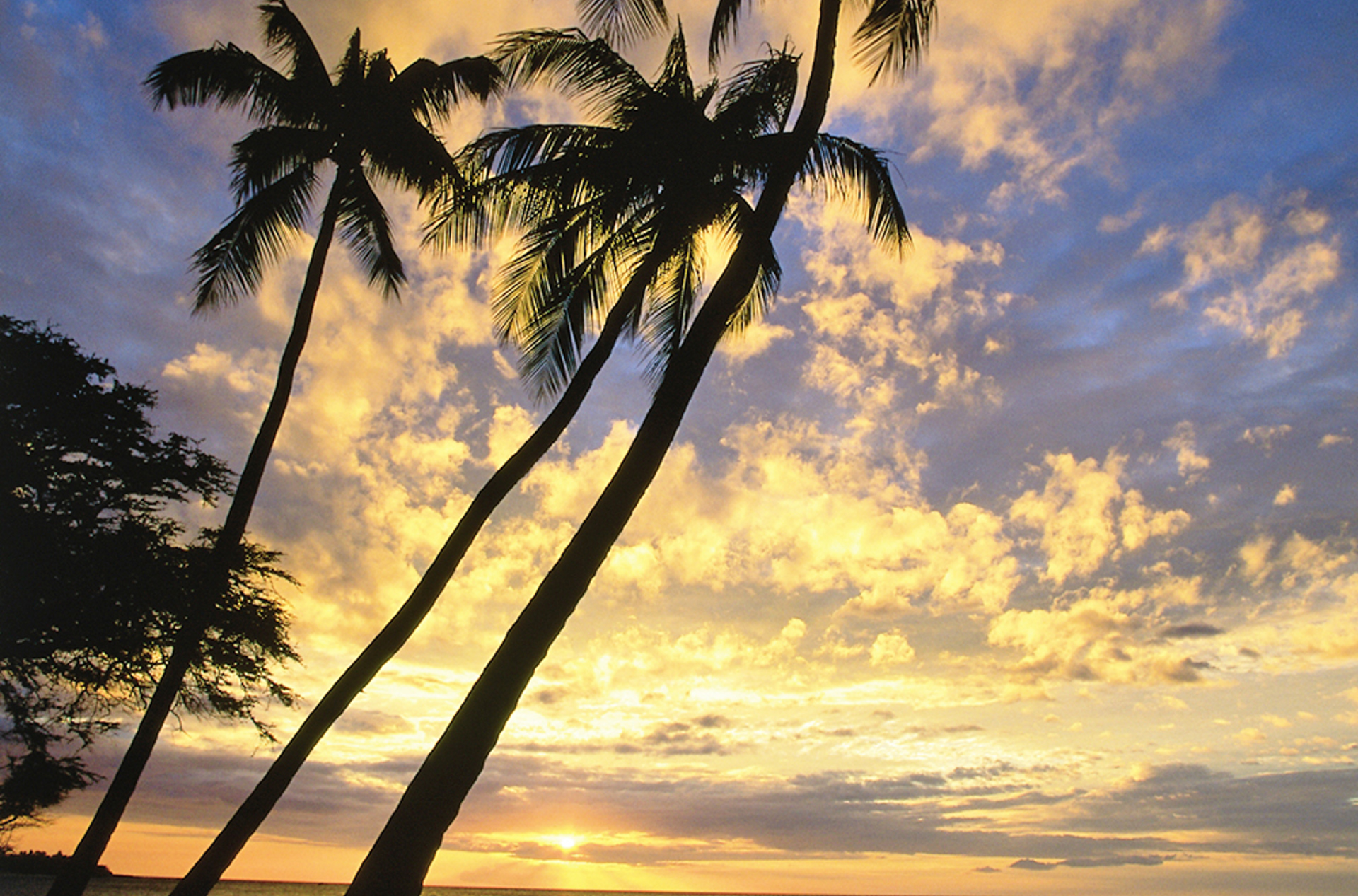 hawaii island_strand_sunset_01_hf