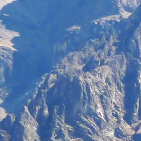 peru - colca canyon_kondor fugl_01