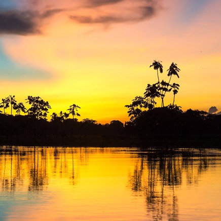 brasilien - amazonas_03
