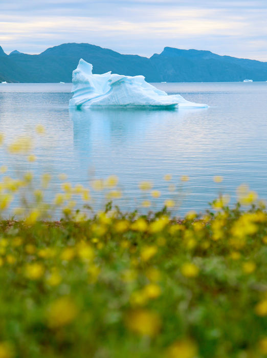 Igaliku Is Ss 2508524301 (1)