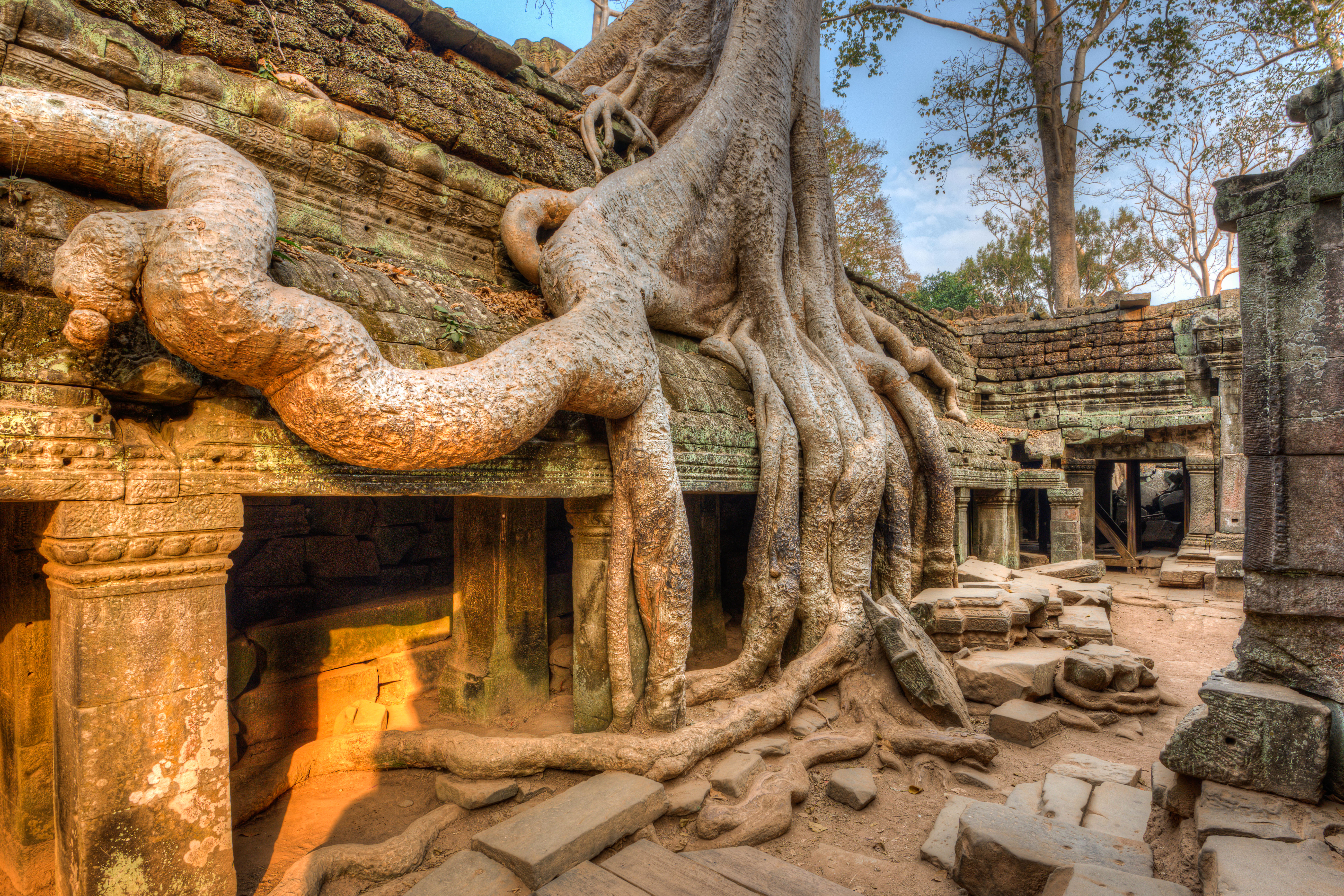 cambodia - ta prohm tempel_02