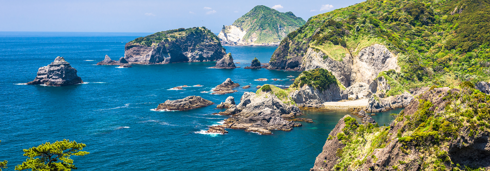 Izu Kogen Kyst
