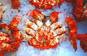 japan - tokyo_tsukiji fishmarket_02