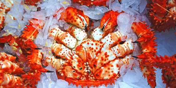 japan - tokyo_tsukiji fishmarket_02