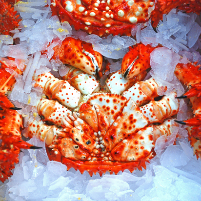 japan - tokyo_tsukiji fishmarket_02