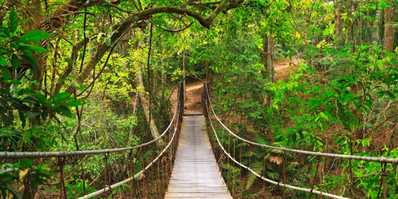 thailand - khao yai national park_haengebro_01