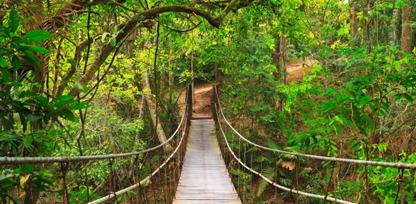 thailand - khao yai national park_haengebro_01