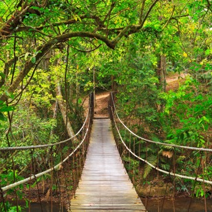 thailand - khao yai national park_haengebro_01