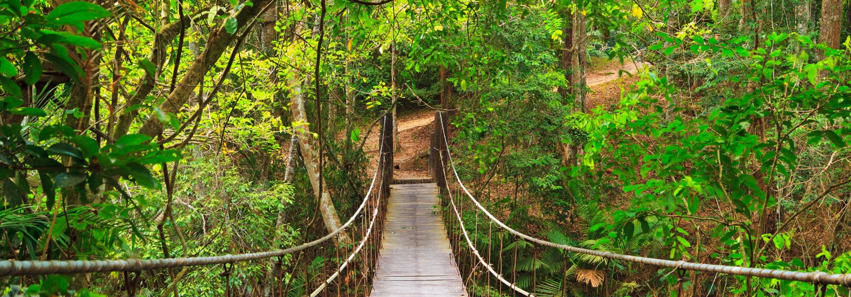 thailand - khao yai national park_haengebro_01