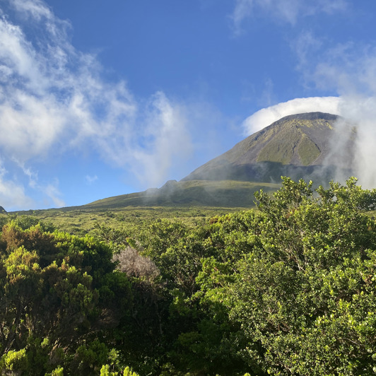 pico_vulkan