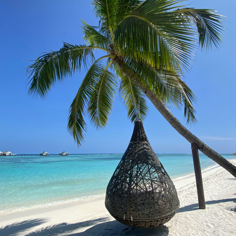 Maldiverne Lux South Ari Atoll Hav