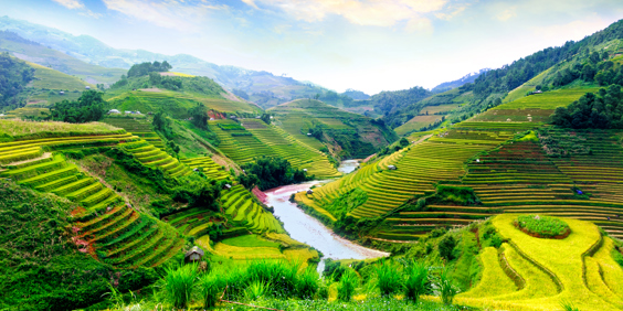 vietnam - vietnam_mu cang chai_yenbai_rismark_02