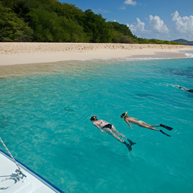 dansk vestindien - buck island snorkling