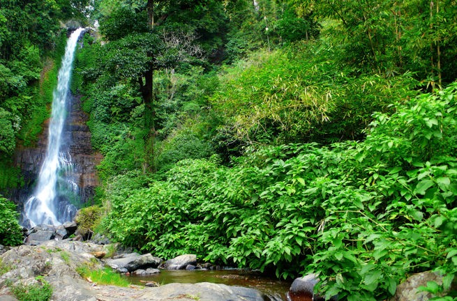 bali - bali_gitgit_vandfald_02