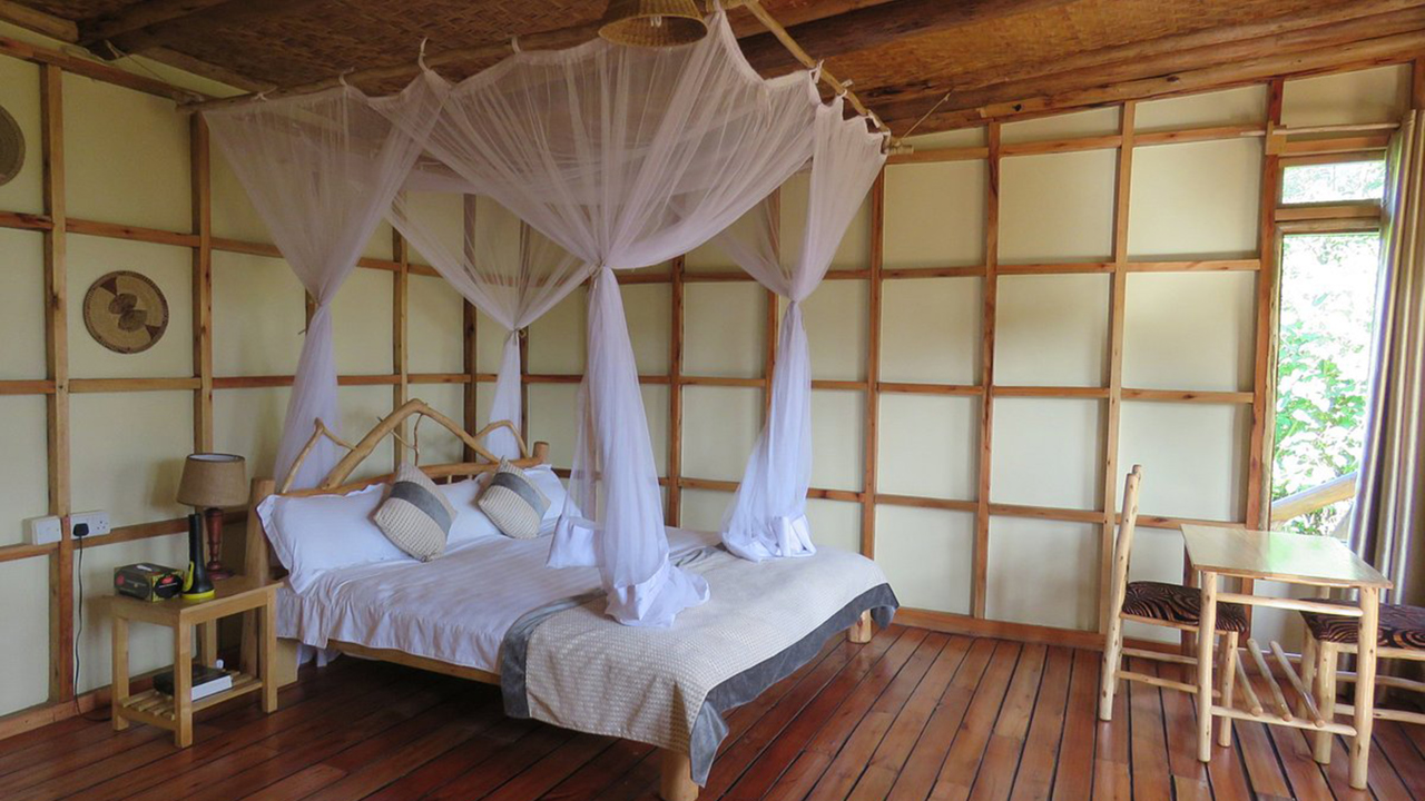 Haven Lodge Buhoma 7