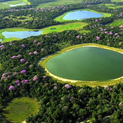 Pantanal Udsigt