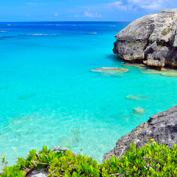 bermuda_hav_01