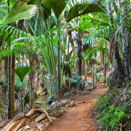 seychellerne - praslin_edens have_02