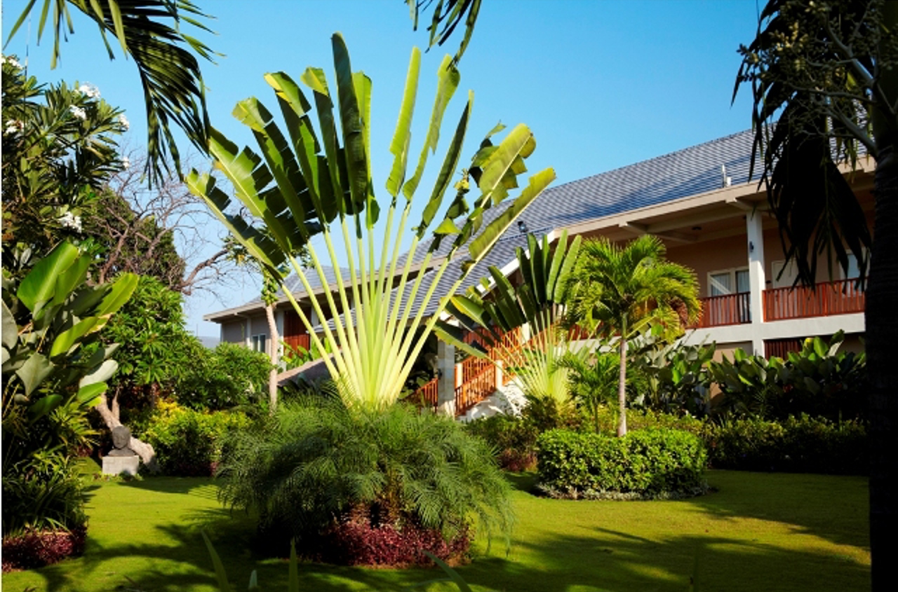 bali - lovina - front