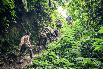 colombia - the lost city_11