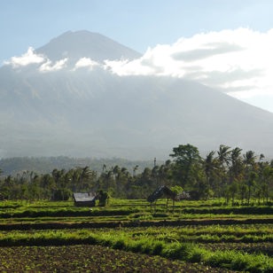 På Bali vil i opleve vulkaner