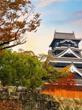 Kumamoto Borgen 2278323947