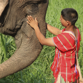 thailand - khao sok_elephant hills_elefanter_15_hf