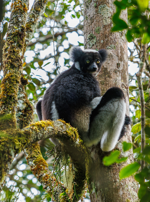 Madagaskar 14