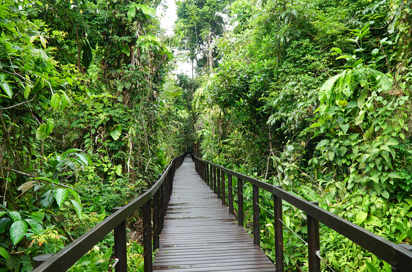 costa rica - cahuita national park_Puerto viejo de talamanca_bro_01