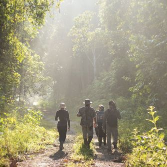 Utan Rainforest Lodge Jungleguide