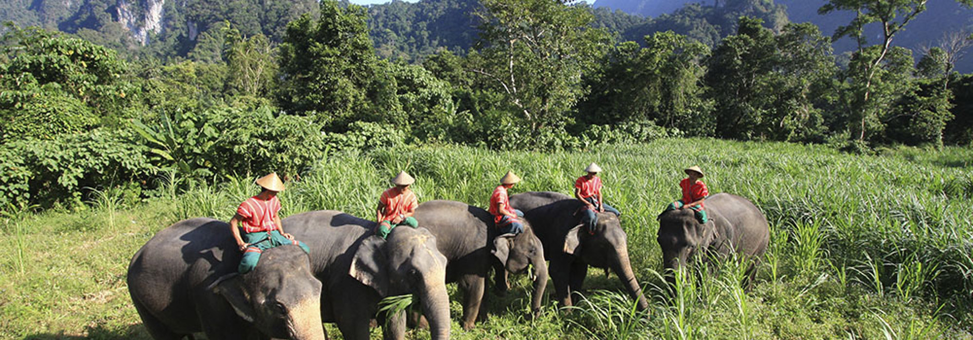 thailand - khao sok_elephant hills_elefanter_08