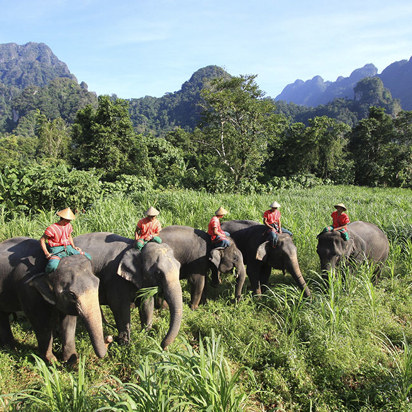 thailand - khao sok_elephant hills_elefanter_08