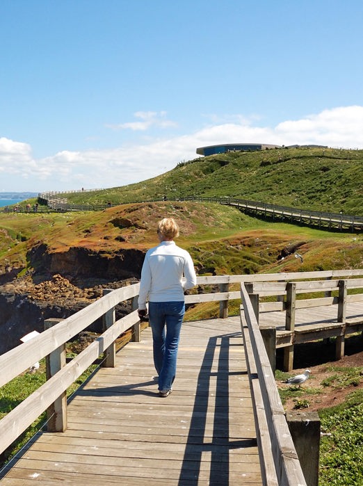 australien - philip island_nobbies_01