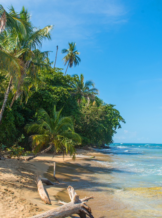 costa rica - puerto viejo de talamanca_strand_01
