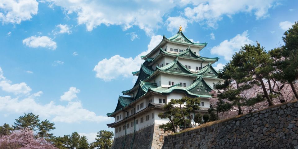 Japan Nagoya Nagoya Castle Sakura Kirsebærtræer 2