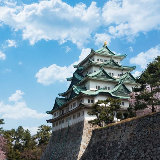 Japan Nagoya Nagoya Castle Sakura Kirsebærtræer 2