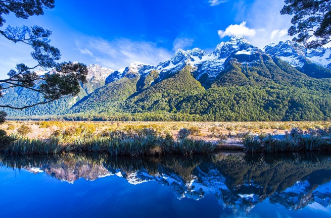 new zealand - new zeland_lanskab_natur_03