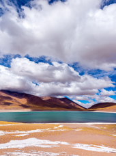Atacama Laguna Meniques