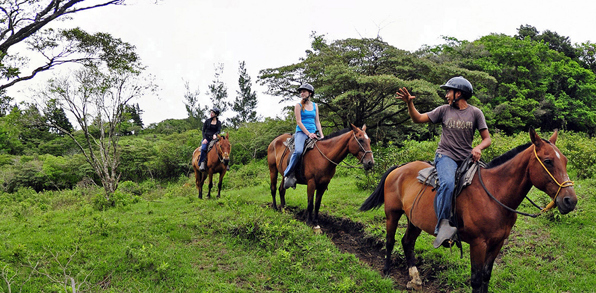 costa rica - Monteverde_Horse_02
